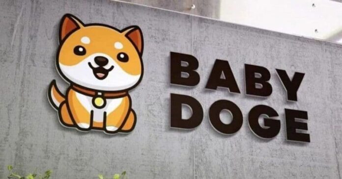 BabyDoge Coin là gì?