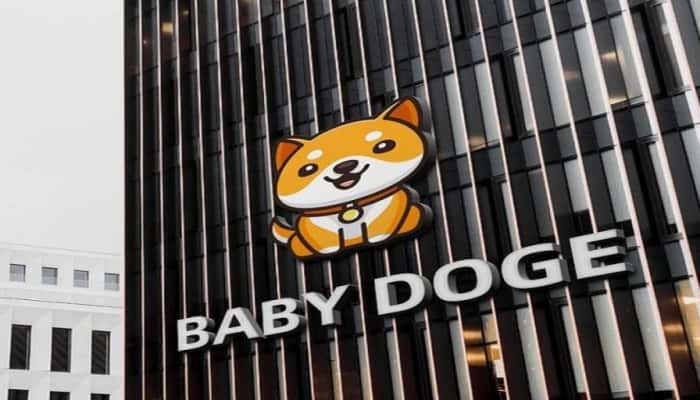 Hệ sinh thái của đồng BabyDoge Coin là gì?