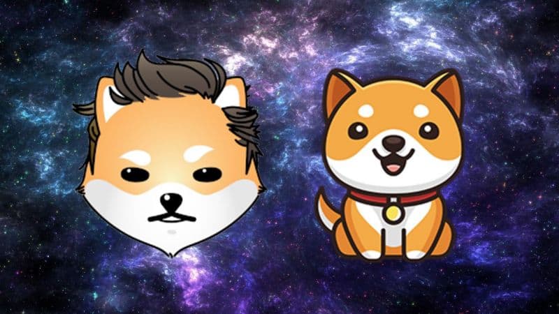 Ưu điểm nổi bật của BabyDoge Coin