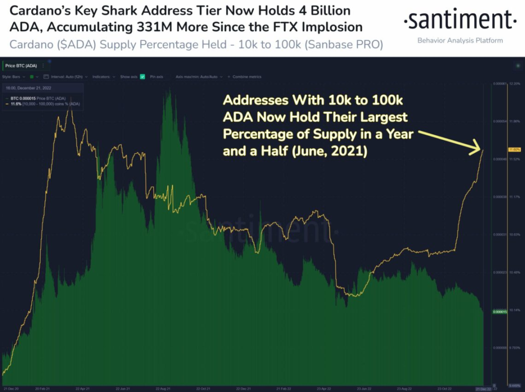 Cardano tang gia khi ca map tich luy 83 trieu do la My ADA - anh 2