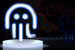 Mang luoi Octopus sa thai 40% nhan vien giua mua dong tien ma hoa - anh 1