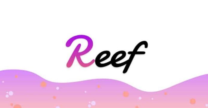 Coin Reef là gì?