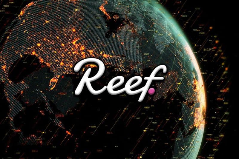 Những điều cần cân nhắc khi mua Reef Finance