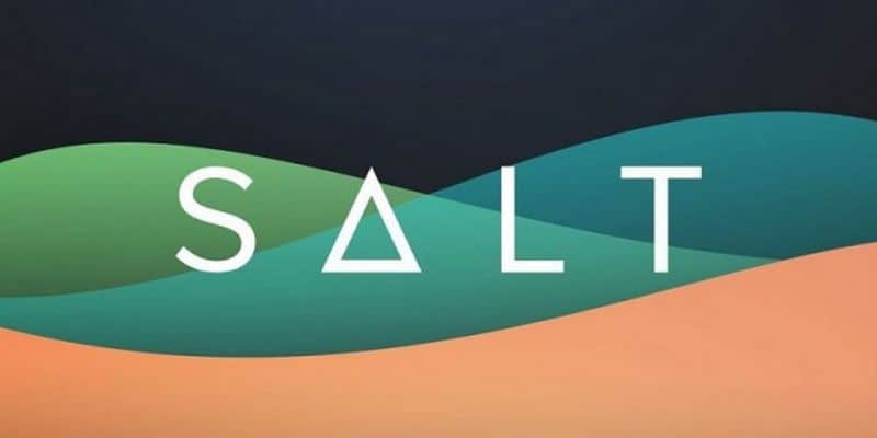 Ví lưu trữ SALT coin là gì?