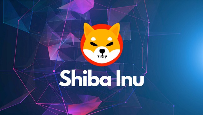 Shiba Inu Coin (SHIB) là gì