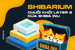 Shiba Inu ra mat ban beta mang luoi L2 Shibarium - anh 1