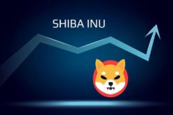 Shiba Inu lot Top 2 cac du an tien ma hoa an toan nhat, lieu SHIB co but pha? - anh 1