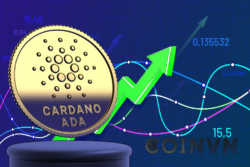 Cardano co the duy tri da tang truong tich cuc hien tai hay khong? - anh 1